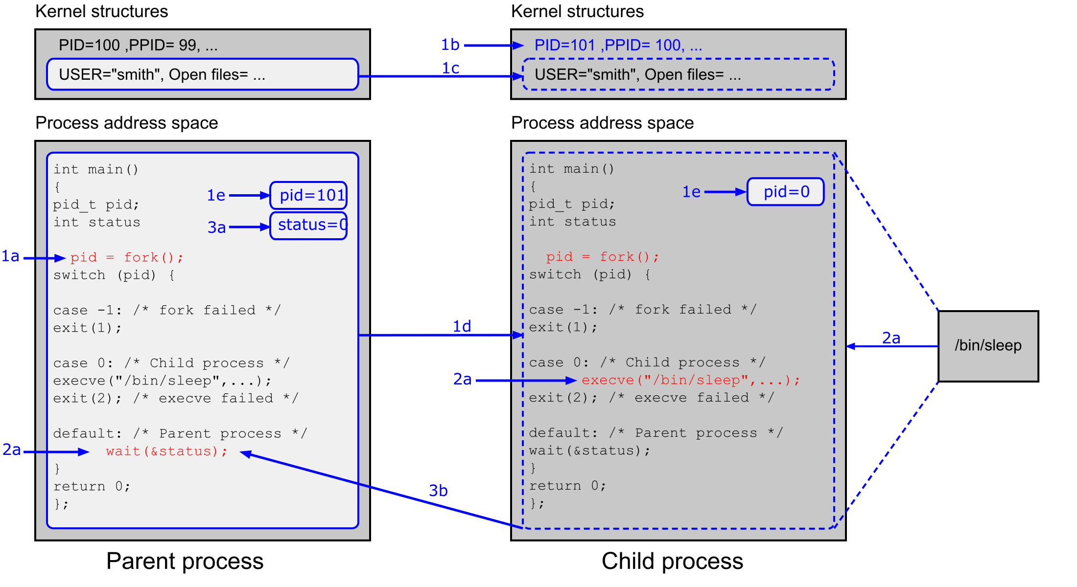 Diagram průběhu fork(), execve() a wait() mezi rodičem a potomkem